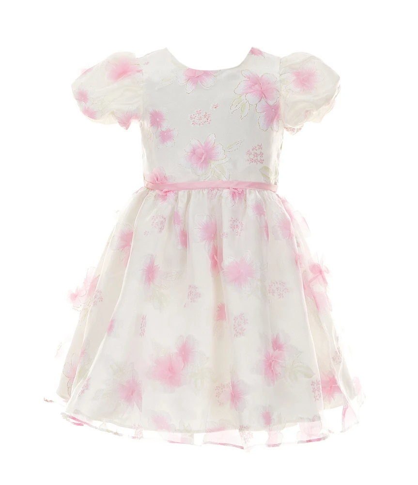Rare Editions Little Girls 2T-6X Puffed-Sleeve Floral Burnout Organza Fit-And-Flare Dress