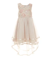 Rare Editions Little Girls 2T-6X Sequin-Embellished Embroidered-Bodice/Mesh-Overlay High-Low Hem Dress