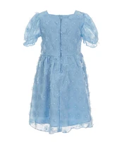 Rare Editions Little Girls 2T-6X Short-Sleeve Three-Dimesional-Flower-Appliqued Fit & Flare Dress