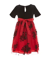 Rare Editions Little Girls 2T-6X Short-Sleeve Velvet/Glitter-Accented Flocked Mesh Skirted Fit-And-Flare Dresss