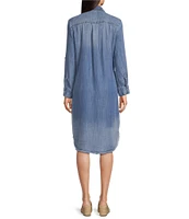 Reba Chambray Point Collar Long Sleeve Frayed Hem Shirt Dress