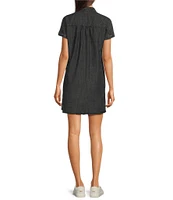 Reba V-Neck Short Cap Sleeve Frayed Hem Chambray Shift Dress