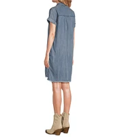 Reba V-Neck Short Cap Sleeve Frayed Hem Chambray Shift Dress