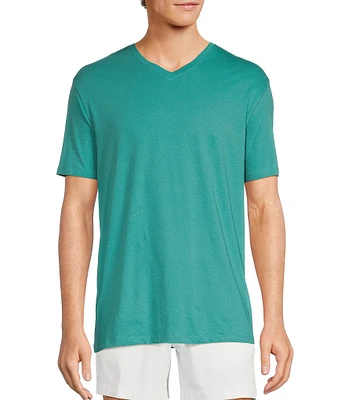 Roundtree & Yorke Big & Tall Solid Cloud Short Sleeve V-Neck T-Shirt