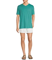 Roundtree & Yorke Big & Tall Solid Cloud Short Sleeve V-Neck T-Shirt