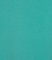 Roundtree & Yorke Big & Tall Solid Cloud Short Sleeve V-Neck T-Shirt