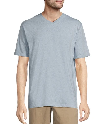 Roundtree & Yorke Big & Tall Solid Cloud Short Sleeve V-Neck T-Shirt