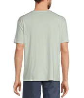 Roundtree & Yorke Solid Cloud Short Sleeve V-Neck T-Shirt
