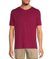 Roundtree & Yorke Solid Cloud Short Sleeve V-Neck T-Shirt