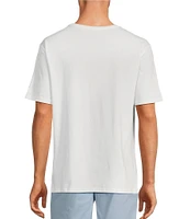 Roundtree & Yorke Solid Cloud Short Sleeve V-Neck T-Shirt