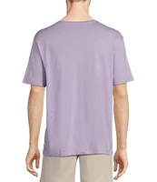 Roundtree & Yorke Solid Cloud Short Sleeve V-Neck T-Shirt