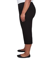 Ruby Rd. Plus Size Stretch Straight Leg Pull-On Capri Pants