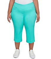 Ruby Rd. Plus Size Stretch Straight Leg Pull-On Capri Pants