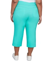 Ruby Rd. Plus Size Stretch Straight Leg Pull-On Capri Pants