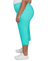 Ruby Rd. Plus Size Stretch Straight Leg Pull-On Capri Pants