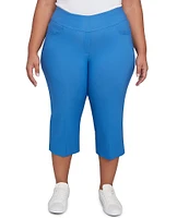 Ruby Rd. Plus Size Stretch Straight Leg Pull-On Capri Pants