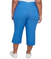 Ruby Rd. Plus Size Stretch Straight Leg Pull-On Capri Pants