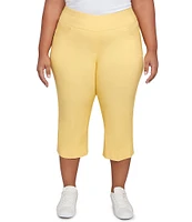 Ruby Rd. Plus Size Stretch Straight Leg Pull-On Capri Pants