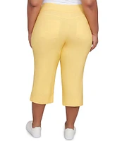 Ruby Rd. Plus Size Stretch Straight Leg Pull-On Capri Pants