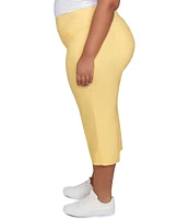 Ruby Rd. Plus Size Stretch Straight Leg Pull-On Capri Pants