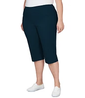 Ruby Rd. Plus Size Tech Clamdigger Pull-On Pants