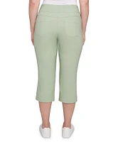 Ruby Rd. Stretch Straight Leg Pull-On Capri Pants
