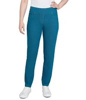 Ruby Rd. Stretch Cotton Blend Straight Slim Leg Pull-On Denim Jeans