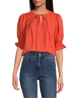 Sam Edelman Marlie V-Neck Short Sleeve Pleated Blouse