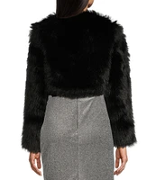 Say What Long Sleeve Faux Fur Jacket