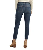 Silver Jeans Co Elyse Mid Rise Power Stretch Skinny Jeans