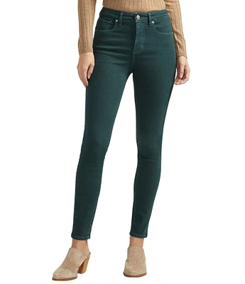 Silver Jeans Co. Isbister High Rise Power Stretch Skinny Leg Jeans