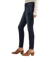 Silver Jeans Co. Suki Mid Rise Curvy Fit Skinny Leg Jeans