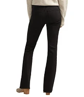 Silver Jeans Co. Super Stretch Curvy Fit Straight Leg Jeans