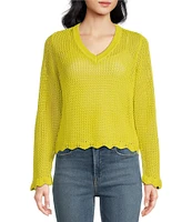 Skies Are Blue Crochet V-Neck Long Sleeve Scallop Hem Top