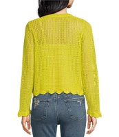 Skies Are Blue Crochet V-Neck Long Sleeve Scallop Hem Top
