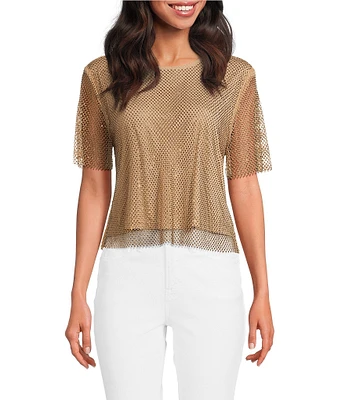 Skies Are Blue Rhinestone Mesh Scoop Neck Short Sleeve Top