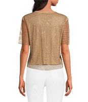 Skies Are Blue Rhinestone Mesh Scoop Neck Short Sleeve Top