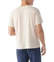 SmartWool Perfect V-Neck Short Sleeve T-Shirt