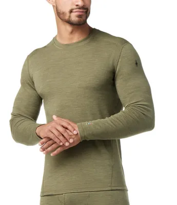 SmartWool Slim Fit Merino 250 Baselayer Colorblock Long Sleeve T-Shirt