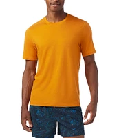 SmartWool Slim Fit Solid Merino Short Sleeve T-Shirt