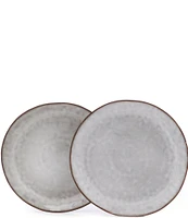 Southern Living Astra Teal Dinner Plate, Set of 2
