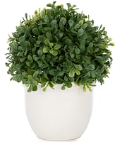 Southern Living Decorative Ball Topiary in Ceramic Pot, 10#double;
