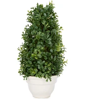 Southern Living Decorative Topiary in Ceramic Pot, 15.5#double;