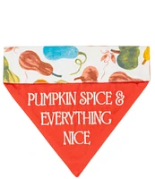 Southern Living Festive Fall Collection Reversible Pumpkin Spice Pet Bandana