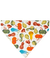 Southern Living Festive Fall Collection Reversible Pumpkin Spice Pet Bandana