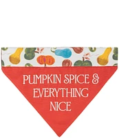 Southern Living Festive Fall Collection Reversible Pumpkin Spice Pet Bandana