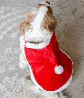 Southern Living Pet Collection Santa Pet Cape/Coat