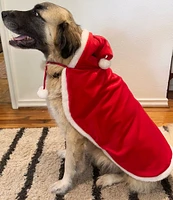 Southern Living Pet Collection Santa Pet Cape/Coat