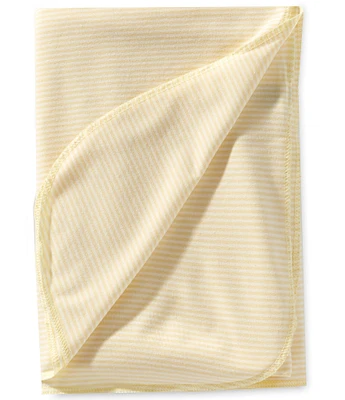 Starting Out Baby Soft Stripe Swaddle Blanket