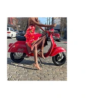 Steve Madden Halter Neck Floral Maxi Dress